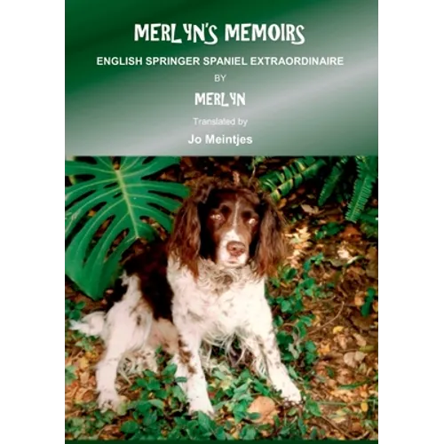 Merlyn's Memoirs: English Springer Spaniel Extraordinaire