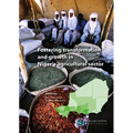 Fostering Transformation and Growth in Niger's Agricultural Sector