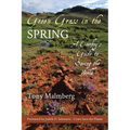 Green Grass in the Spring: A Cowboy's Guide to Saving the World