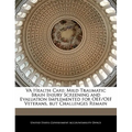 Va Health Care: Mild Traumatic Brain Injury Screening and Evaluation Implemented for Oef/Oif Veterans, But Challenges Remain