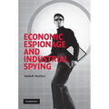 Economic Espionage and Industrial Spying