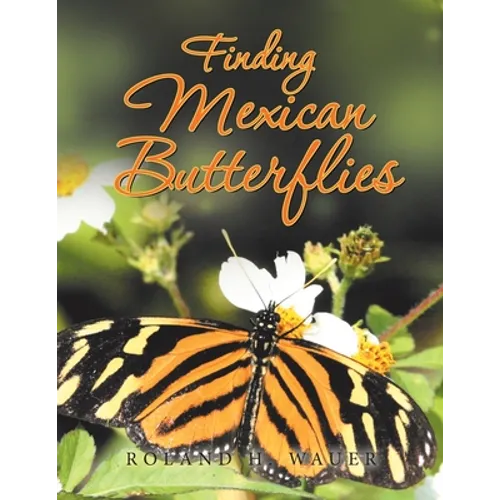 Finding Mexican Butterflies