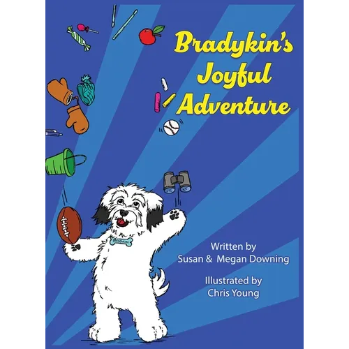 Bradykin's Joyful Adventure