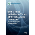 Belt & Road Initiative in Times of 'Synchronized Downturn': Issues, Challenges, Opportunities