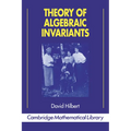 Theory of Algebraic Invariants