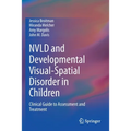 Nvld and Developmental Visual-Spatial Disorder in Children: Clinical Guide to Assessment and Treatment