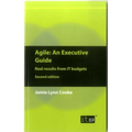 Agile An Executive Guide, second edition