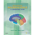Mastering Neuroscience: A Laboratory Guide
