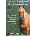 Guide to Buying Your First (or Next) Horse