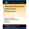Molecular Mechanisms of Body Water Homeostasis