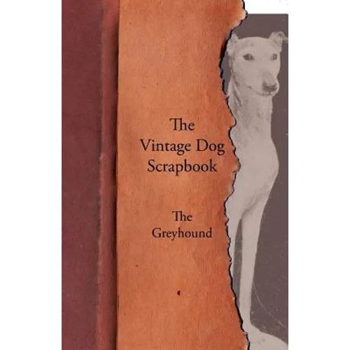 The Vintage Dog Scrapbook - The Greyhound