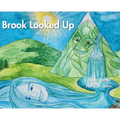 Brook Looked Up
