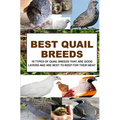 Best Quail Breeds: 10 Types Of Quail Breeds That Are Good Layers And Are Best To Keep For Their Meat
