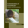 Contamination of Groundwater: Analysis and Remediation