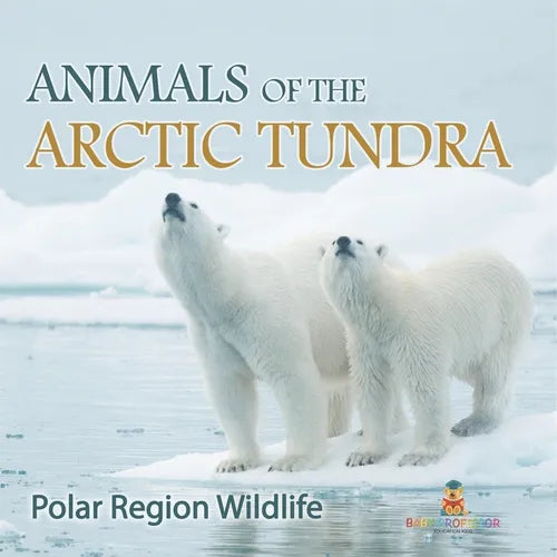 Animals of the Arctic Tundra: Polar Region Wildlife