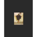The CIA Torture Report: Unclassified