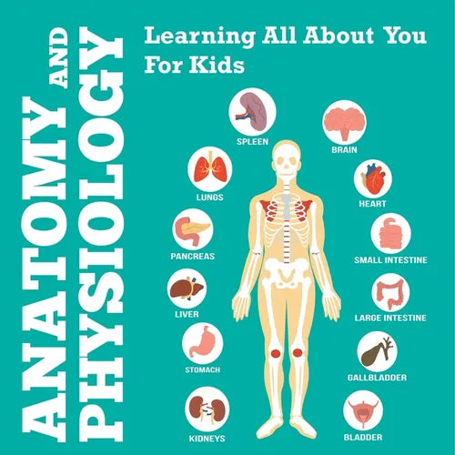 Anatomy And Physiology: Learning All About You For Kids