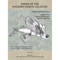 Order Beloniformes: Needlefishes, Sauries, Halfbeaks, and Flyingfishes: Part 10