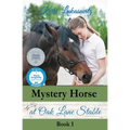 Mystery Horse at Oak Lane Stable