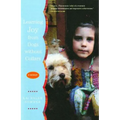 Learning Joy from Dogs Without Collars