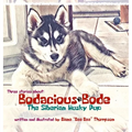 Bodacious Bode - The Siberian Husky Pup